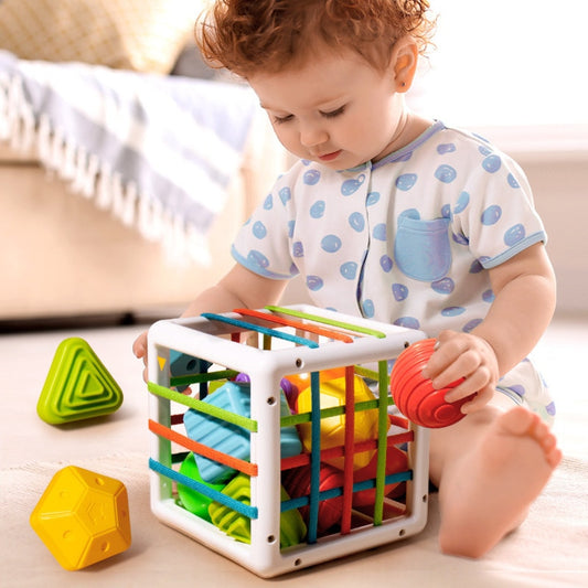 Colorful Shape Blocks Sorting Game Educational Toys for Babies