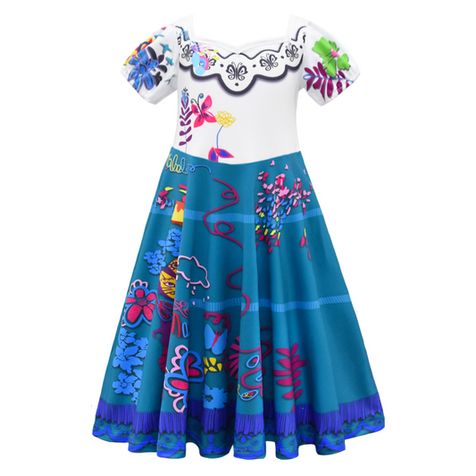 Fancy Princess Dress Encanto Character Halloween Costume